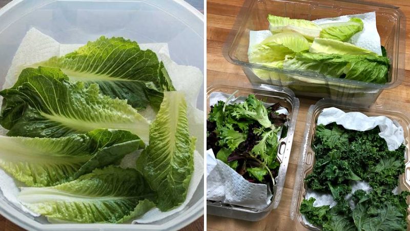 Các bước bảo quản rau được tươi lâu