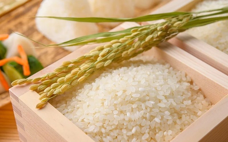 Phủ kín gạo lên khắp sầu riêng giúp quả sầu riêng mau chín