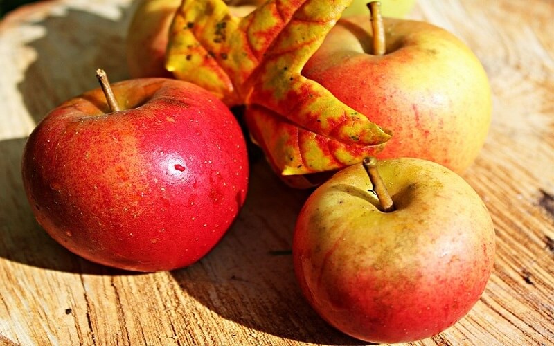 Ủ sầu riêng bằng cách đặt cạnh quả chín