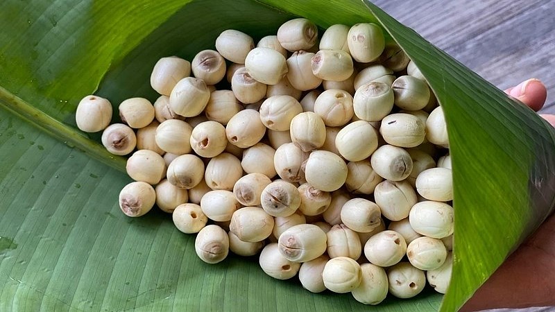 Cách chọn mua hạt sen tươi ngon