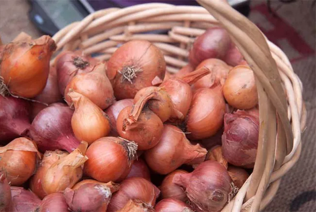 Cách chọn hành khô ngon