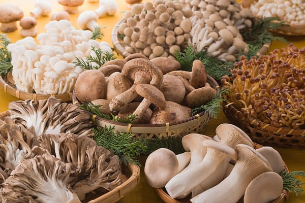 Chế biến nấm đúng cách sẽ mang lại giá trị dinh dưỡng cao