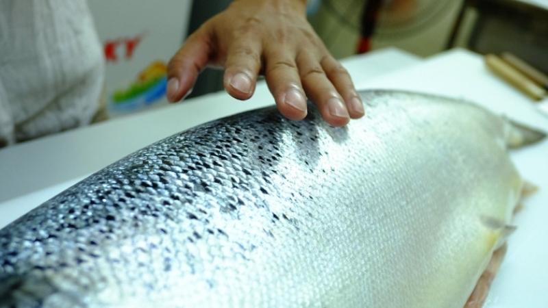 Phần vảy sáng và bóng