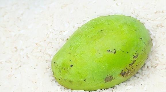 Vùi trong gạo hoặc hạt bắp