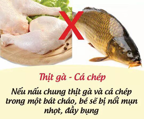 Thịt gà và cá chép