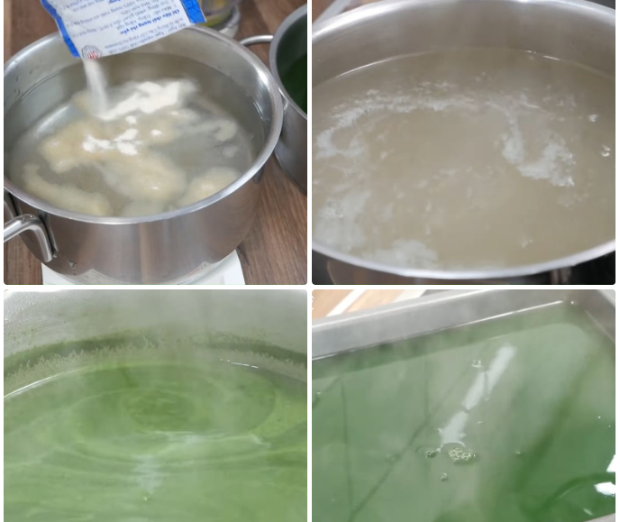 Ngâm và nấu rau câu- Agar Việt Nam Vũ Minh