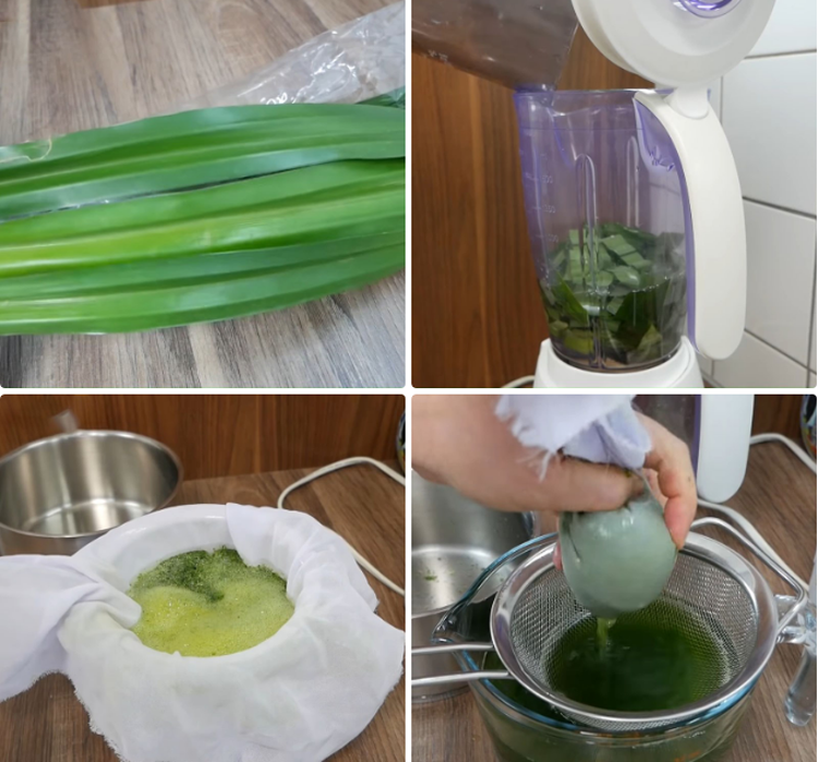 Xay và lọc nước cốt lá dứa- Agar Việt Nam Vũ Minh