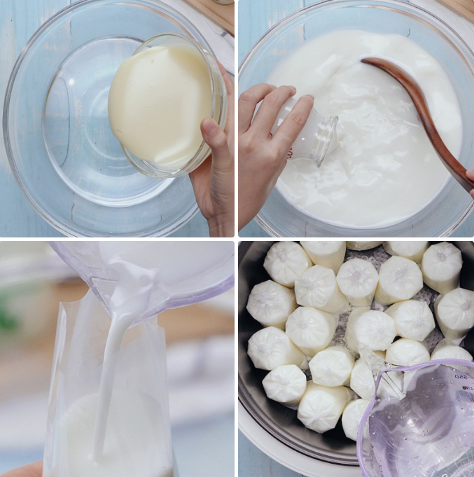 Làm sữa chua cực đơn giản cho món sữa chua trân châu cốt dừa- Agar Việt Nam Vũ Minh