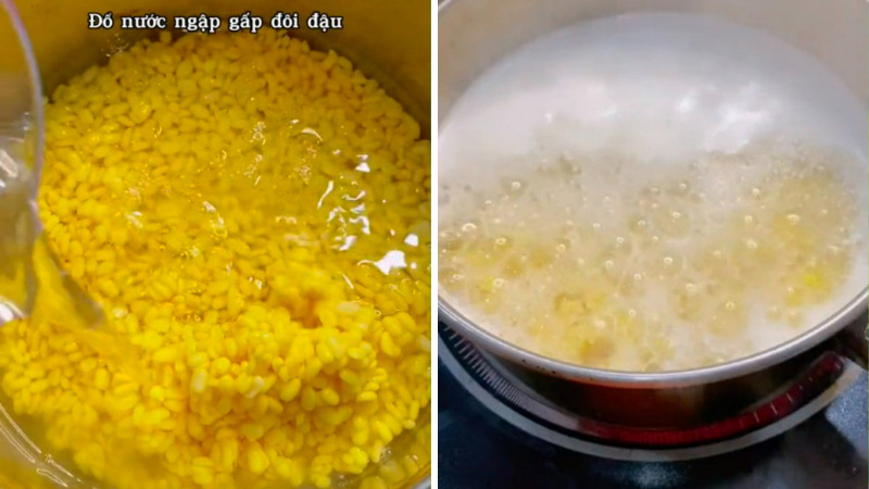 Sơ chế đậu xanh