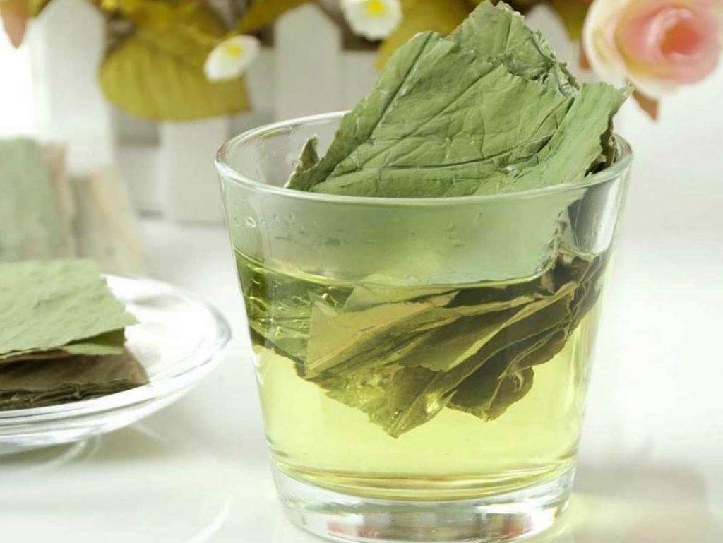 Sen cũng được ứng dụng nhiều trong y học hiện đại