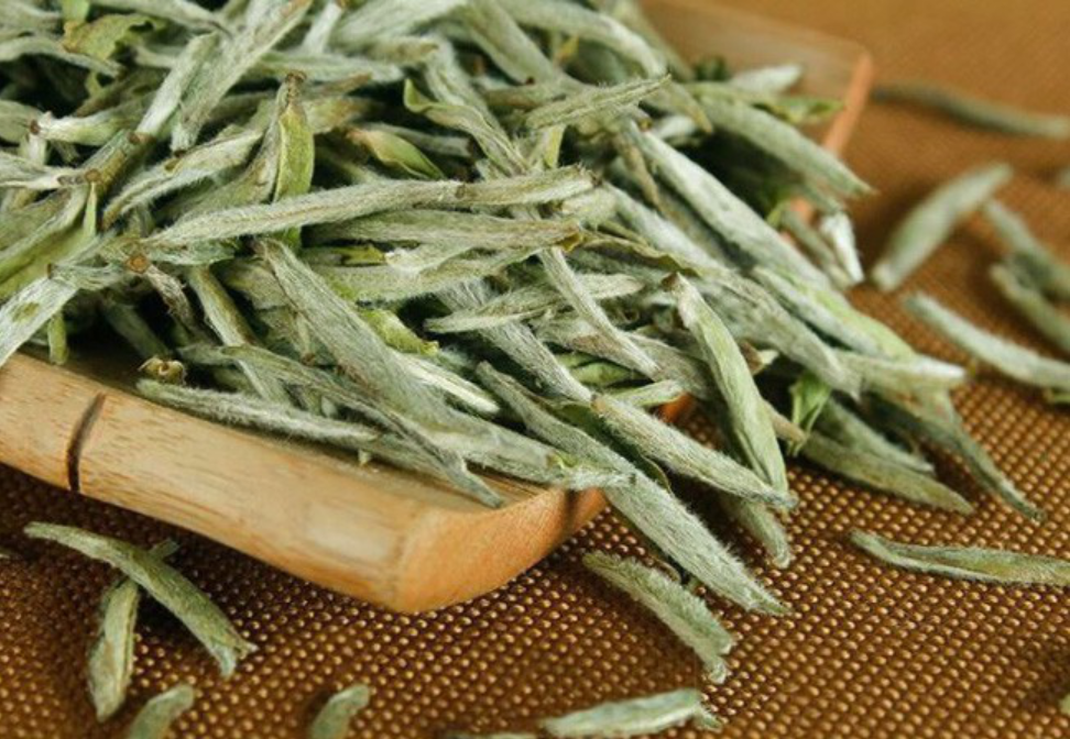 Trà trắng thúc đẩy quá trình phân giải lipid và ngăn chặn sự hình thành mỡ