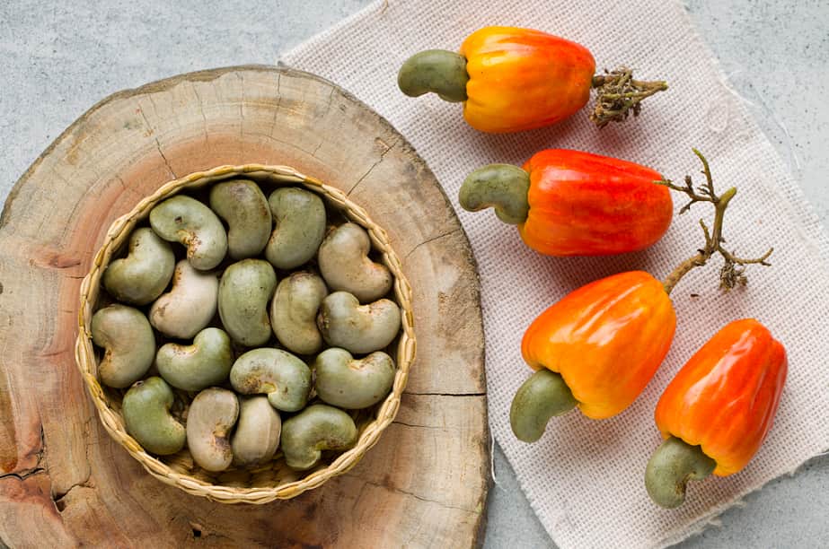 Chỉ ăn hạt điều đã được xử lý và bày bán trên thị trường