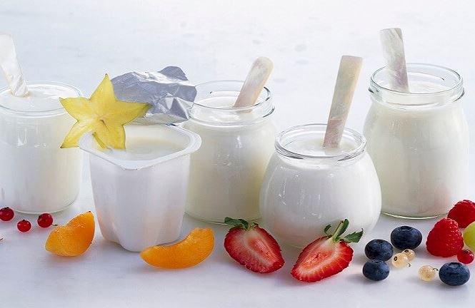 Sữa chua có giá trị dinh dưỡng cao mà chúng ta cần bổ sung hằng ngày