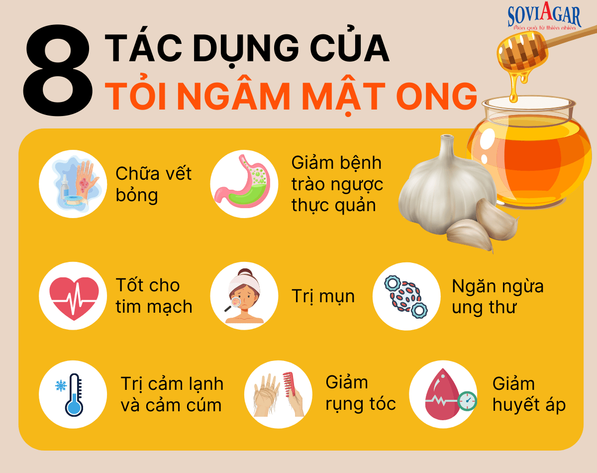 Những lợi ích sức khỏe của tỏi ngâm mật ong