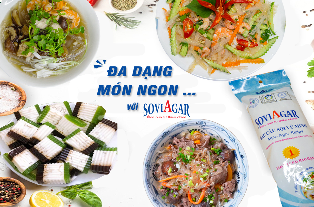 Rau câu sợi chất lượng cao - Rau câu sợi Vũ Minh SoviAgar