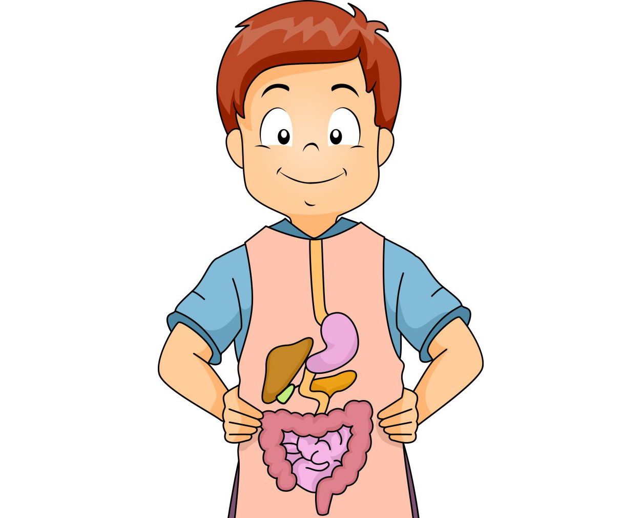 Bột Agar Soviagar Vũ Minh tốt cho hệ tiêu hóa
