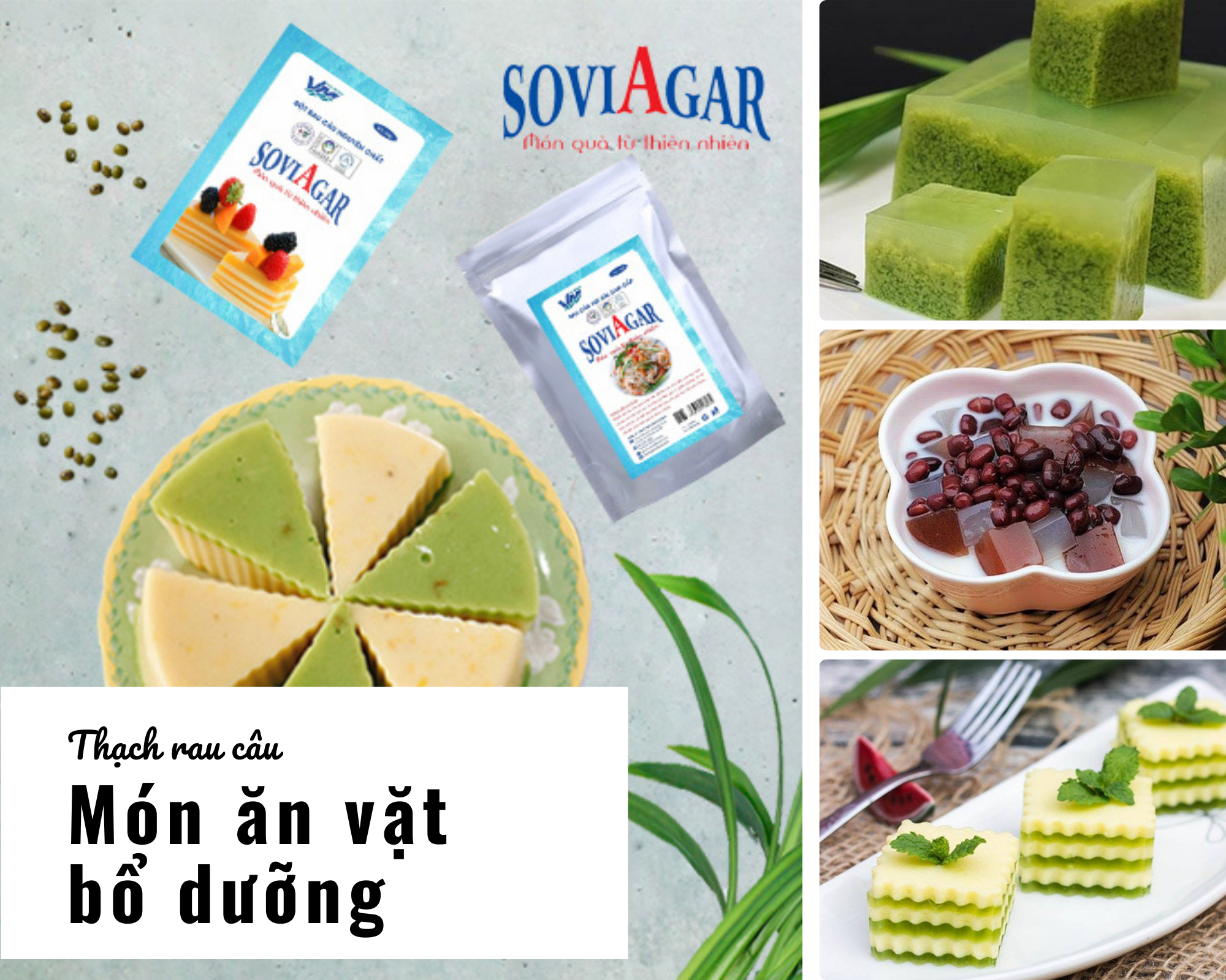 THẠCH RAU CÂU - MÓN ĂN VẶT BỔ DƯỠNG