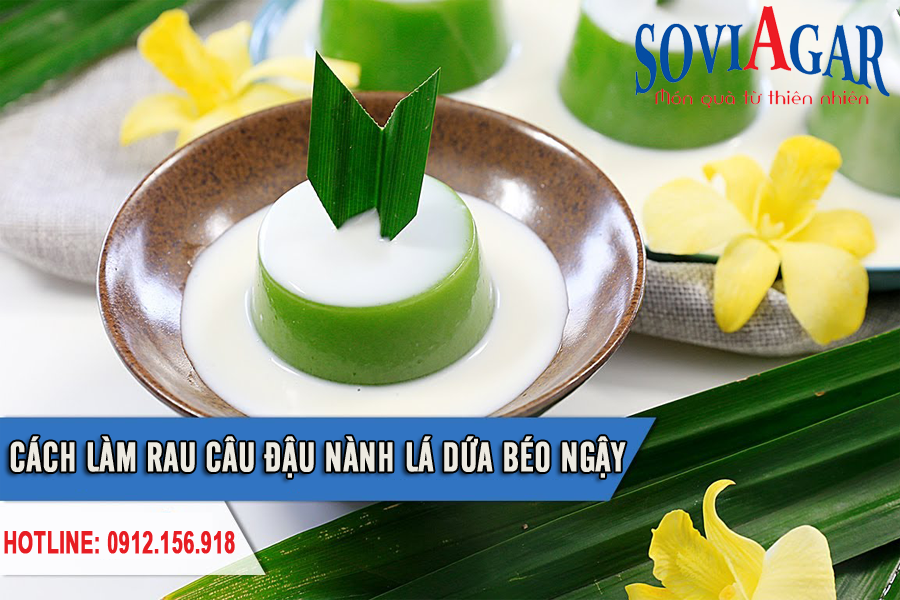 Thơm ngon, lạ miệng với rau câu đậu nành lá dứa béo ngậy