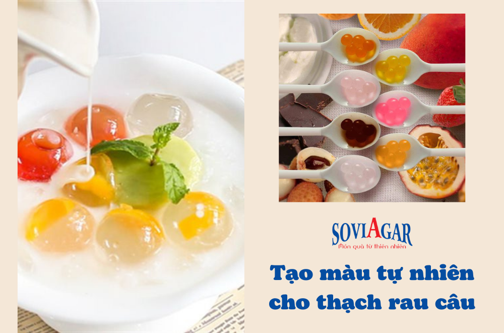 Bí quyết tạo màu thạch rau câu bằng quả tươi