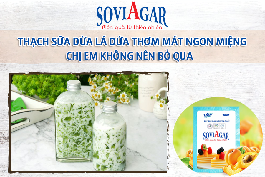Thạch sữa dừa lá dứa thơm mát ngon miệng, chị em không nên bỏ qua