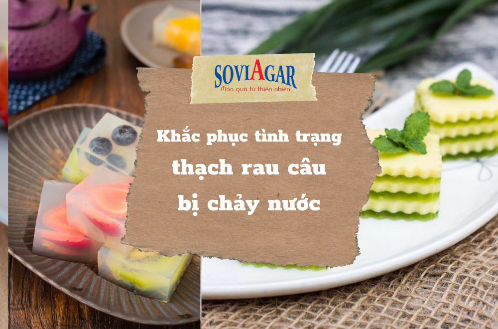 Tình trạng thạch rau câu bị tách nước và cách khắc phục