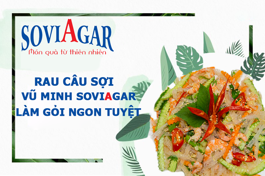 Rau câu sợi Vũ Minh SoviAgar làm gỏi ngon tuyệt