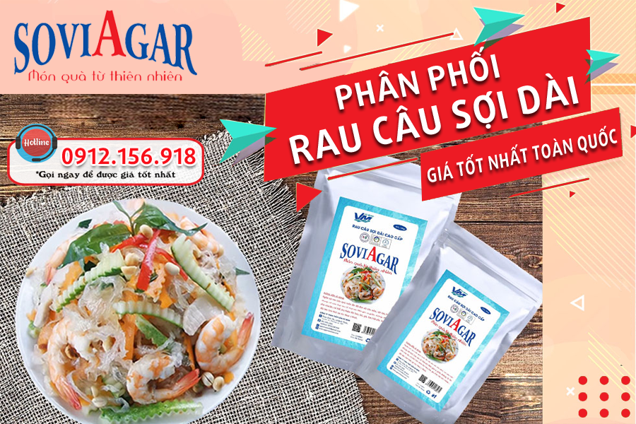 Phân phối rau câu sợi dài, giá tốt nhất toàn quốc