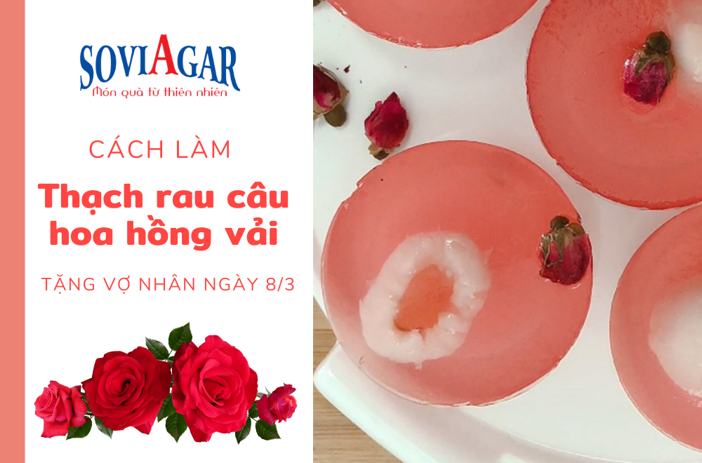 Cách làm rau câu hoa hồng vải tặng vợ nhân ngày 8/3