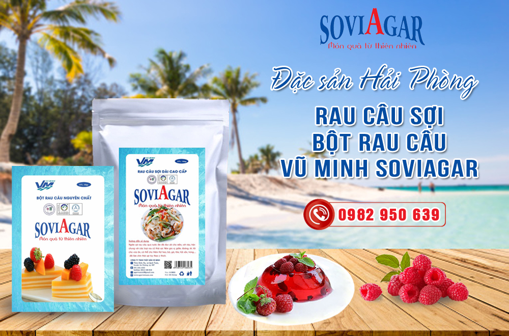 Sản xuất, cung cấp bột Agar-agar, rau câu sợi uy tín, chất lượng số 1 hiện nay