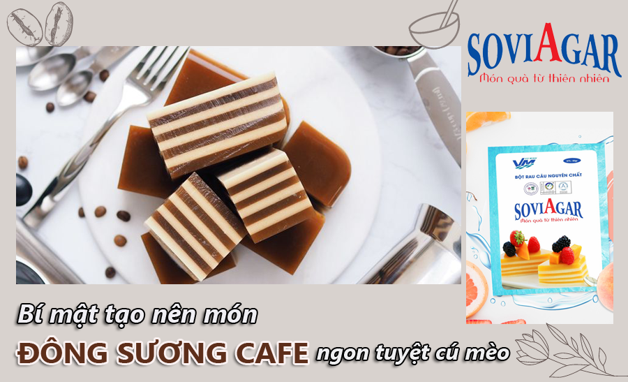 Bí mật tạo nên món đông sương rau câu cafe ngon tuyệt cú mèo