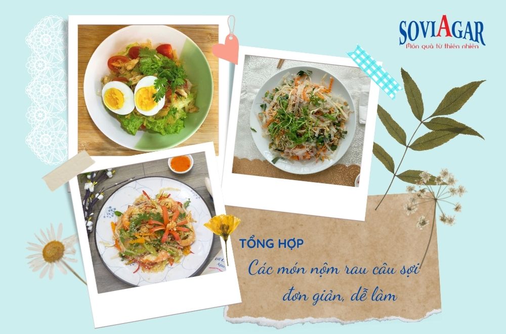 Tổng hợp các món nộm Rau câu sợi Vũ Minh Soviagar đơn giản, dễ làm