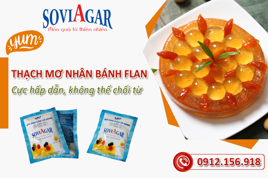 Thạch mơ nhân bánh flan cực hấp dẫn khiến bé không thể chối từ