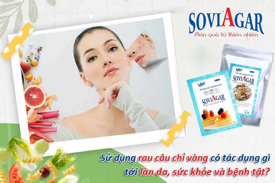 Sử dụng rau câu chỉ vàng có tác dụng gì tới làn da, vóc dáng và bệnh tật?