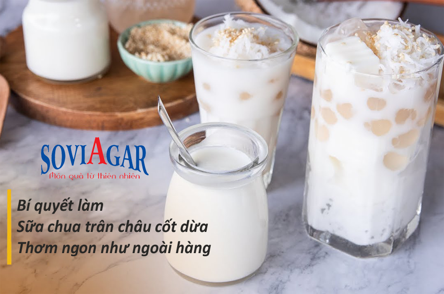 Bí quyết làm sữa chua trân châu cốt dừa thơm ngon như ngoài hàng