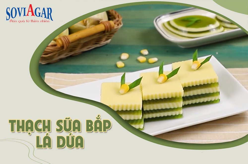 Trổ tài làm thạch sữa bắp lá dứa cực dễ làm với bột rau câu Vũ Minh Soviagar