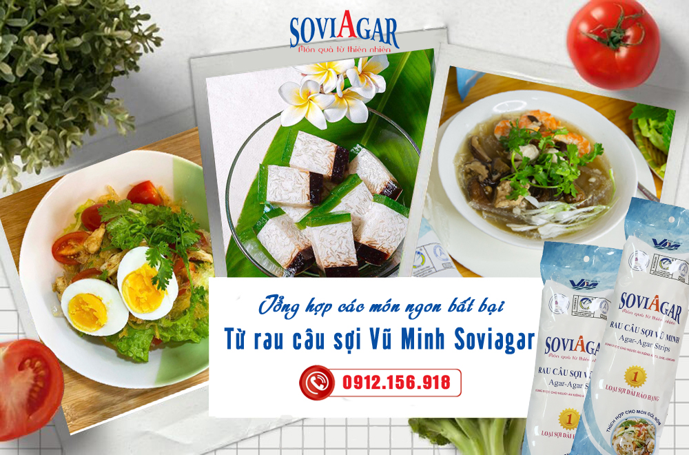 Tổng hợp các món gỏi nộm ngon bất bại từ rau câu sợi Vũ Minh Soviagar