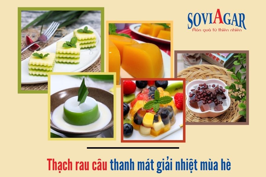 Làm thạch rau câu thanh mát giải khát mùa hè với bột rau câu giòn nguyên chất