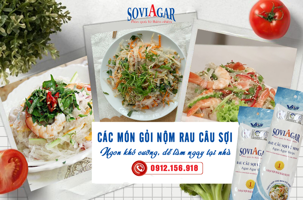 Các món gỏi nộm rau câu sợi ngon khó cưỡng lại dễ làm ngay tại nhà