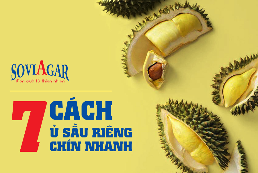 Thử ngay 7 cách này để sầu riêng chín nhanh tự nhiên