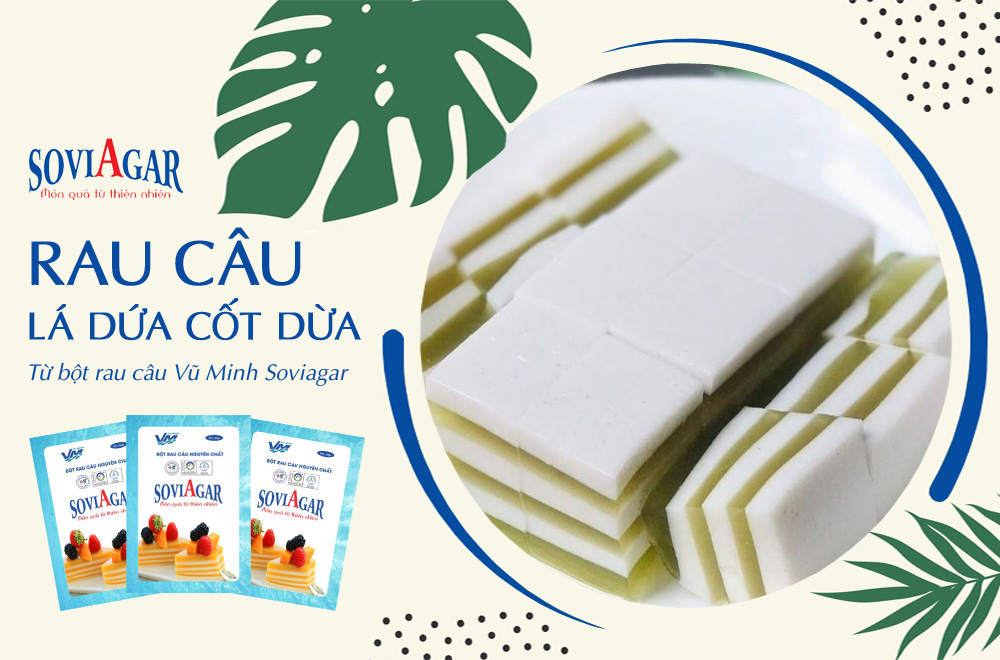 Rau câu lá dứa cốt dừa đơn giản, ai cũng thích từ bột rau câu Vũ Minh Soviagar