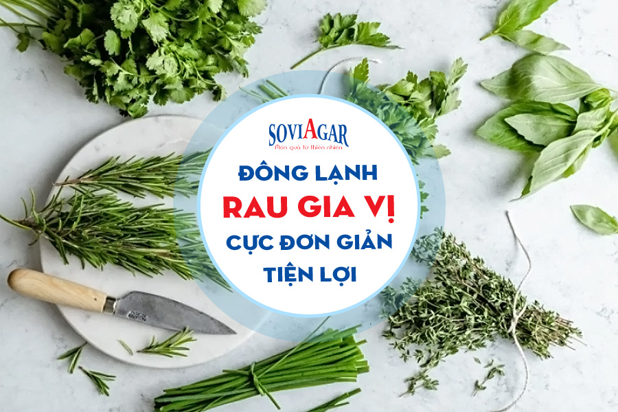 Cách đông lạnh rau gia vị cực tiện lợi cho chị em