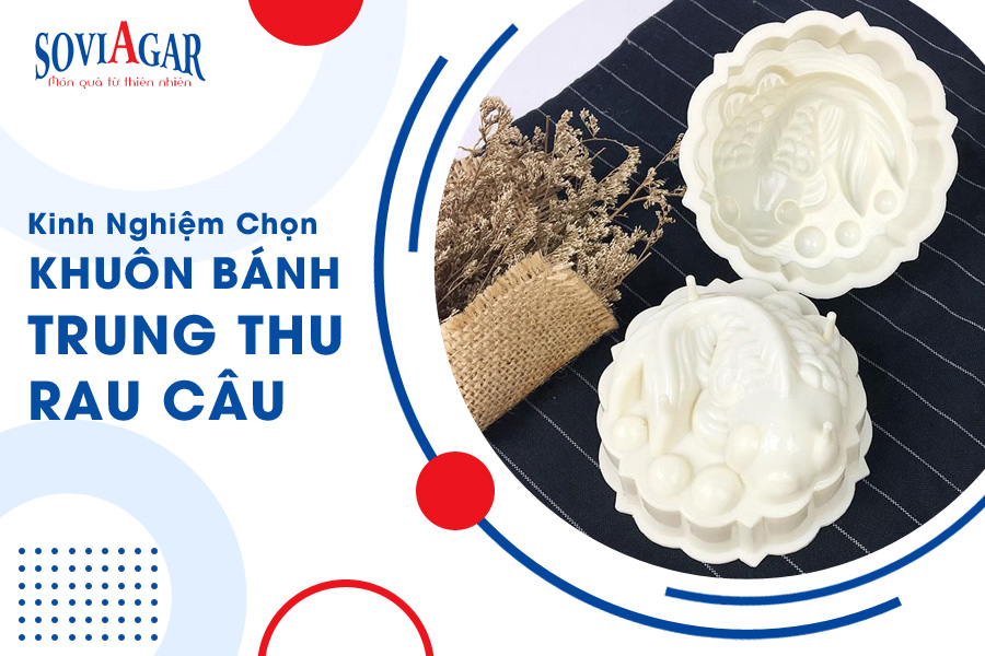 Kinh nghiệm chọn khuôn bánh trung thu rau câu chuẩn và đẹp