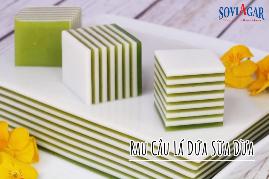 Thạch rau câu lá dứa sữa dừa dai giòn, thơm béo, ăn cực mê