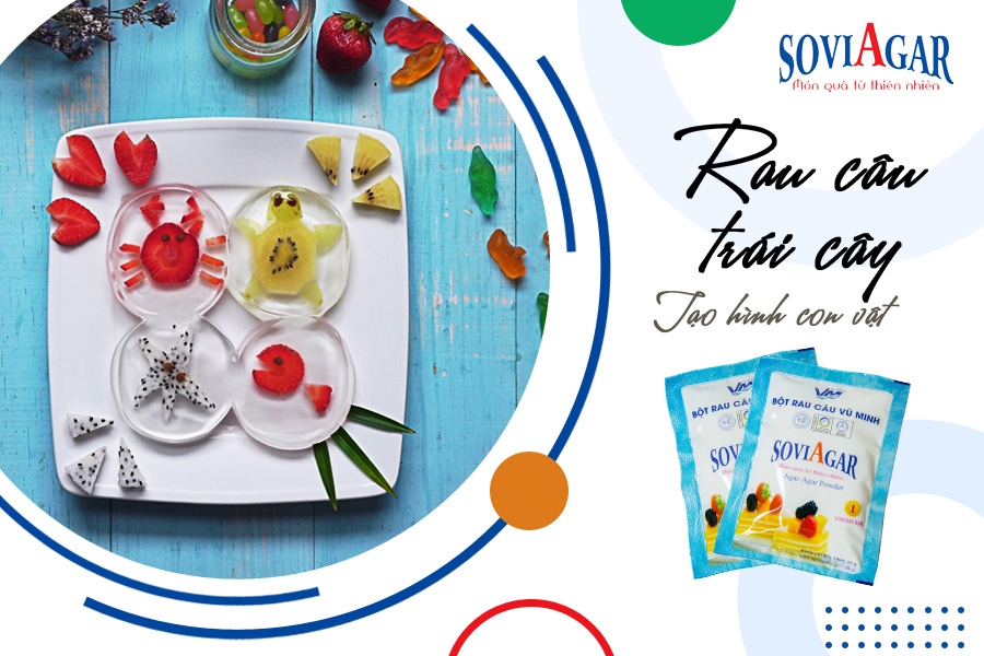 Rau câu trái cây tạo hình con vật cho bé từ bột rau câu Vũ Minh Soviagar