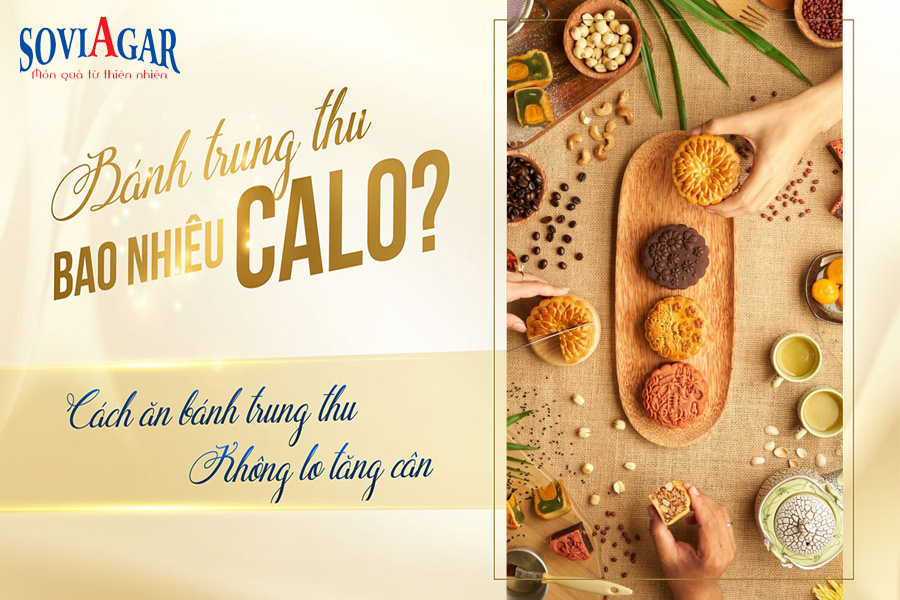 Bánh trung thu bao nhiêu calo? Cách ăn bánh trung thu không lo tăng cân