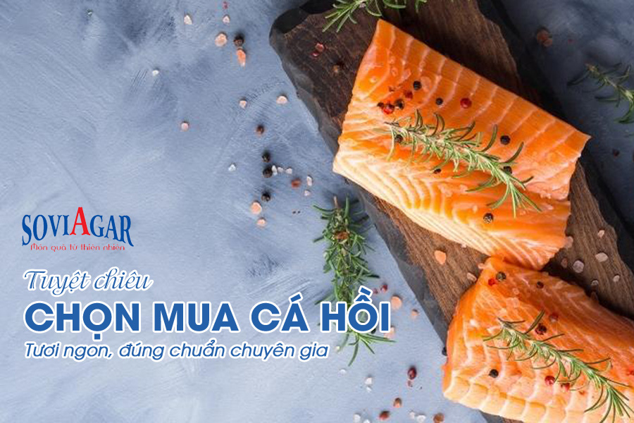 Tuyệt chiêu chọn mua cá hồi tươi ngon, đúng chuẩn chuyên gia
