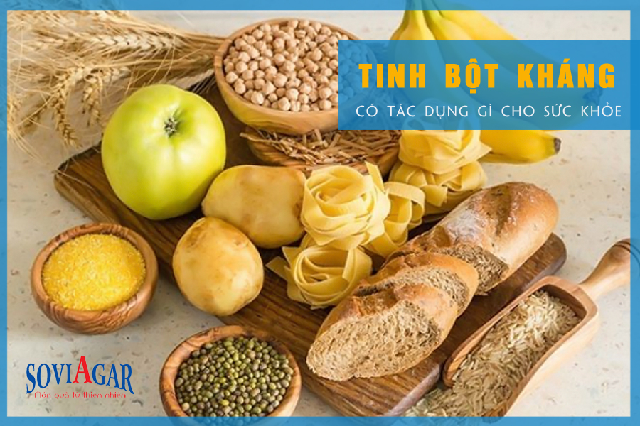 Tinh bột kháng và những lợi ích cho sức khỏe con người