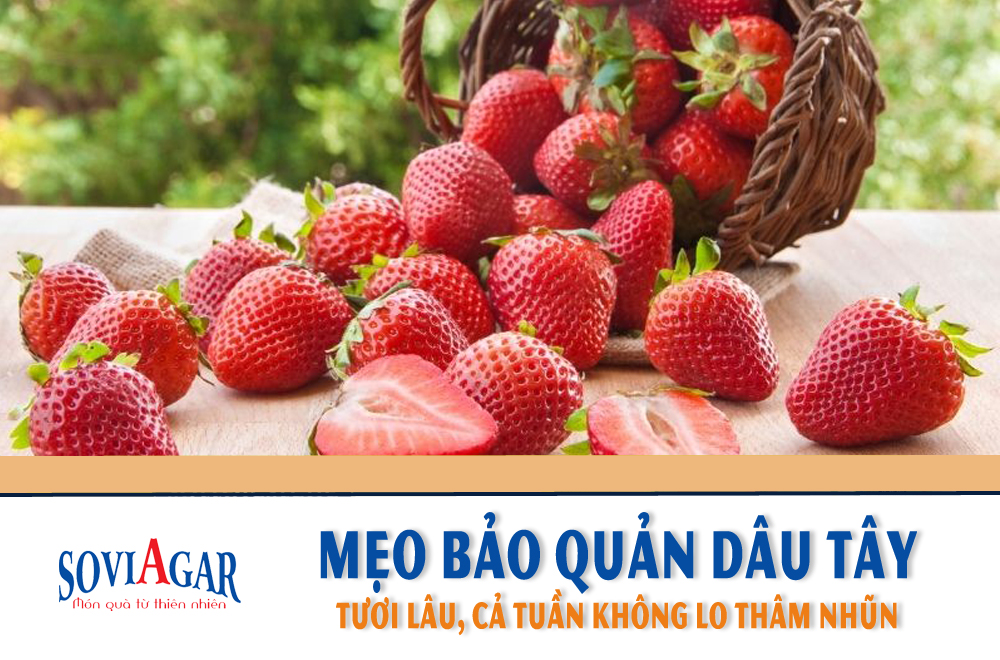 Mẹo bảo quản dâu tây cả tuần không lo thâm, nhũn 