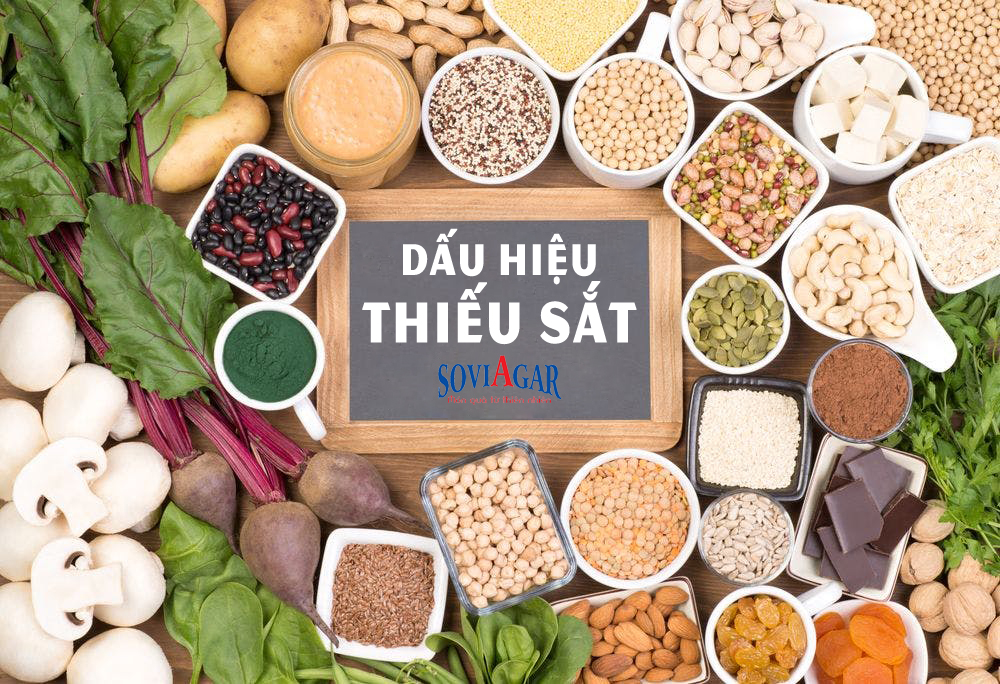 Cảnh báo nguy cơ thiếu sắt nếu bạn đang gặp phải những dấu hiệu này