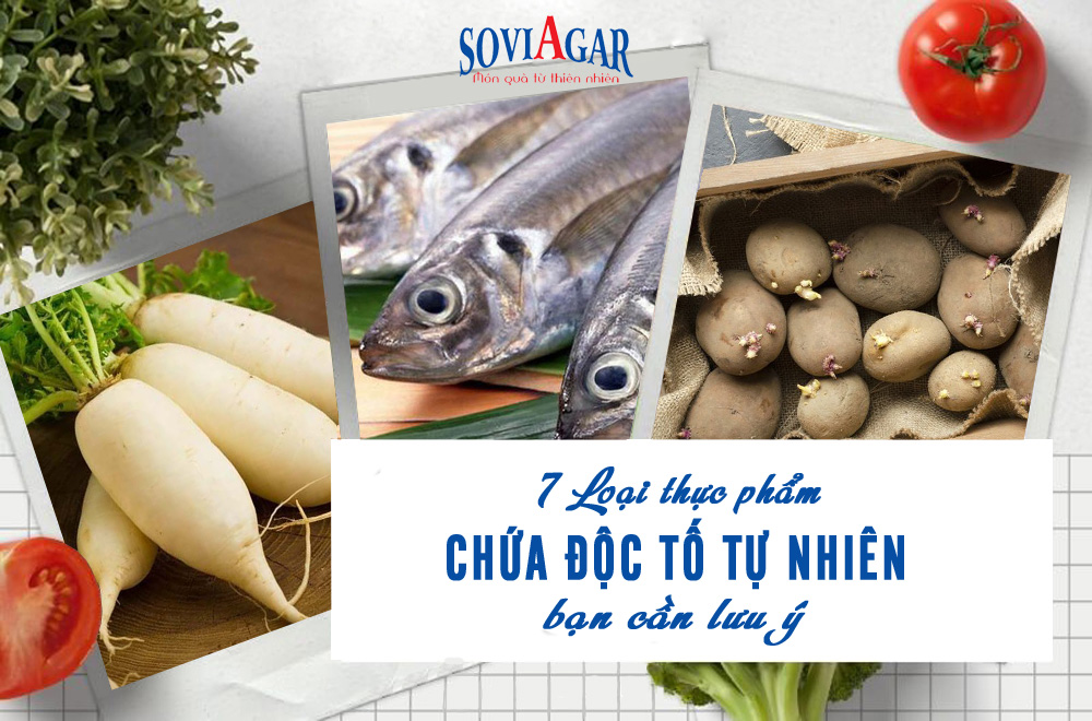 7 Loại thực phẩm tưởng an toàn nhưng lại chứa độc tố tự nhiên bạn cần lưu ý